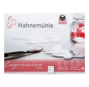 Hahnemuhle - Expression Bloc Aquarelle 100% Coton - 300g Grain Fin - 20F