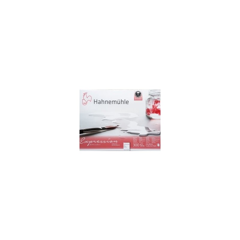 Hahnemuhle - Expression Bloc Aquarelle 100% Coton - 300g Grain Fin - 20F
