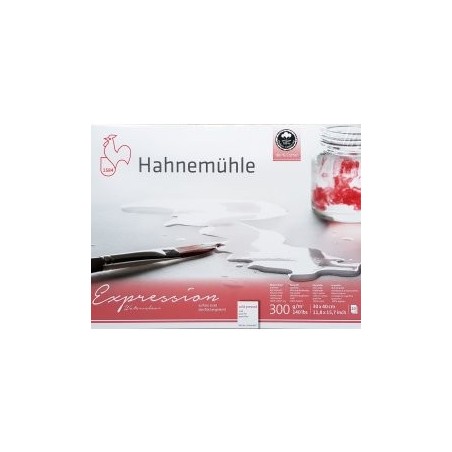 Hahnemuhle - Expression Bloc Aquarelle 100% Coton - 300g Grain Fin - 20F
