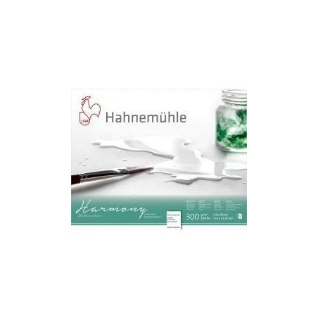 Bloc Aquarelle Hahnemühle Harmony 300g Grain Satiné | Couleur Aquarelle